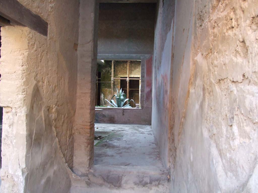  A long narrow corridor with a large plant in the distance leads to an upper floor dining room in the ruins of Pompeii.